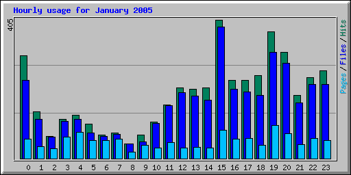 Hourly usage for January 2005